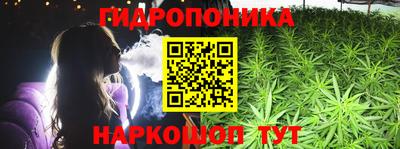 ешки Можга