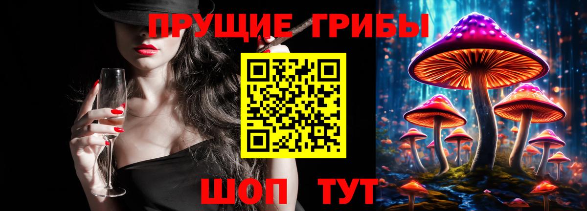 Псилоцибиновые грибы Cubensis Елизово